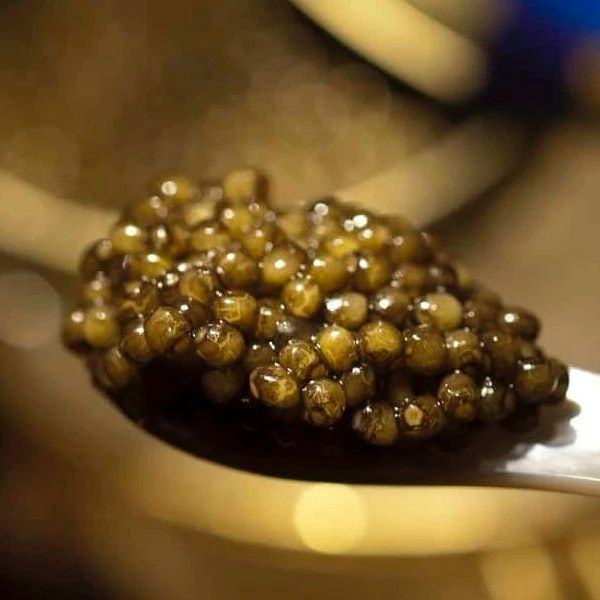 Royal Oscietra Caviar