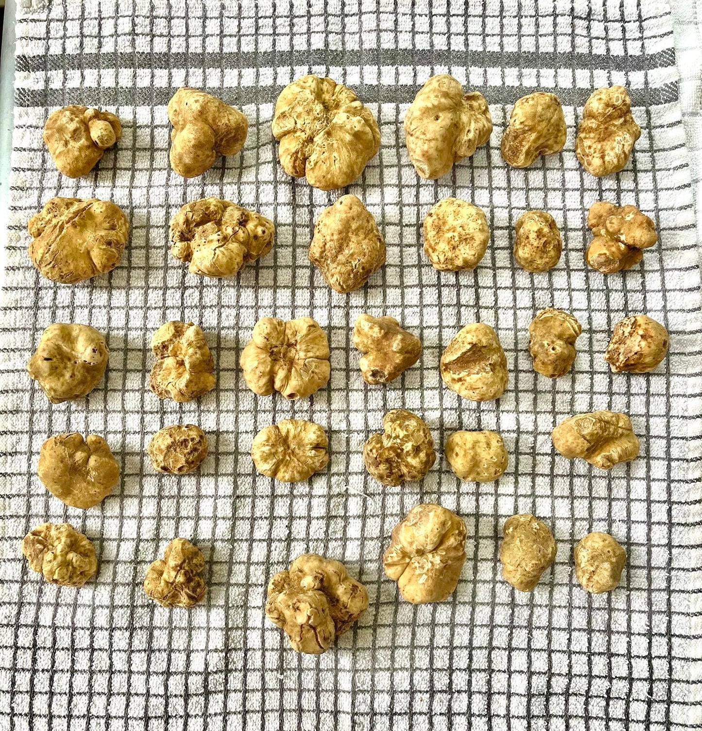 Grade A - Fresh White Alba Truffles 100g