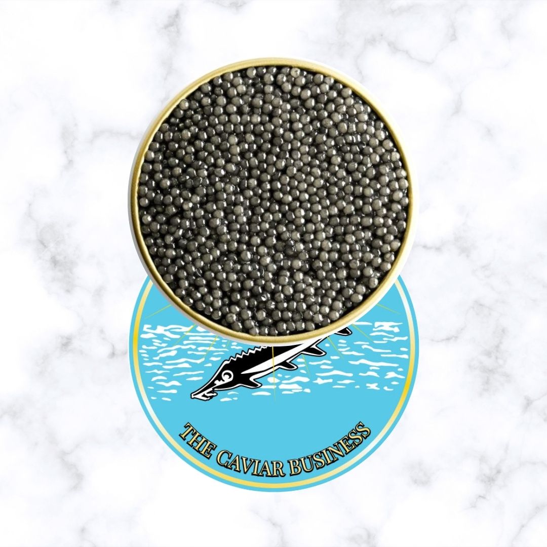Buy Beluga Caviar Wholesale at The Caviar Business UK Shop
