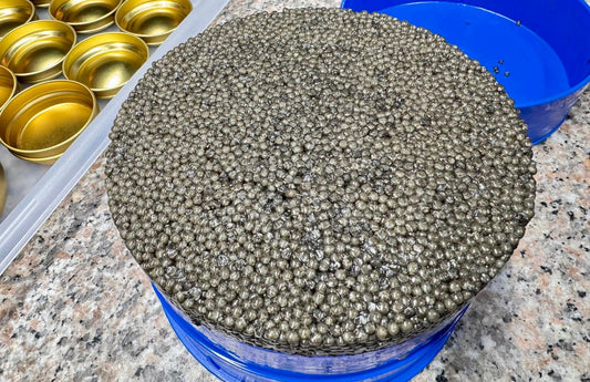 000 Royal Beluga Caviar